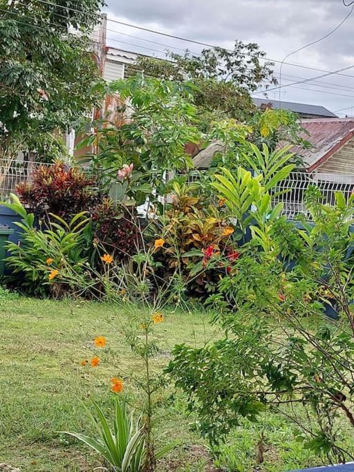 La Petite Maison, Spacieuse, Avec Jardin / Parking 圣罗斯 外观 照片